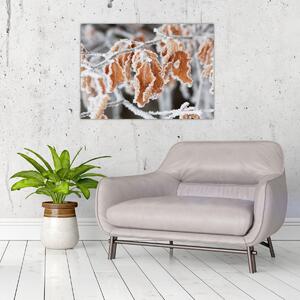 Kép - Fagyott levelek (70x50 cm)
