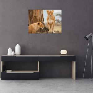 Kép - két oroszlán (70x50 cm)