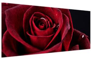 Kép - Vörös rózsa (120x50 cm)