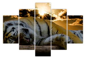 Alvó tigris képe (150x105 cm)