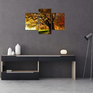 Az őszi kép (90x60 cm)