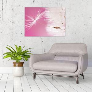 Kép - Makró virága (70x50 cm)