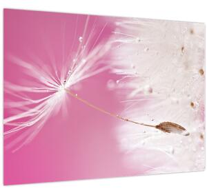 Kép - Makró virága (70x50 cm)