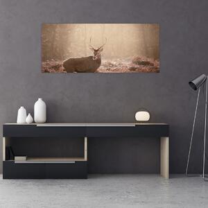 Kép - Szarvas az erdőben (120x50 cm)