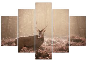 Kép - Szarvas az erdőben (150x105 cm)