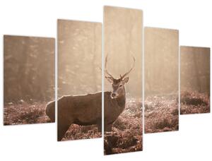 Kép - Szarvas az erdőben (150x105 cm)