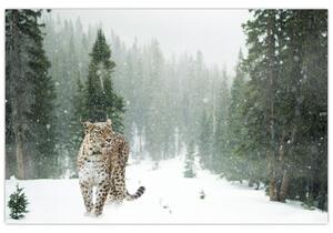 Leopárd a hóban képe (90x60 cm)