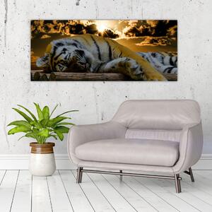 Alvó tigris képe (120x50 cm)