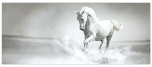 Kép - Fehér ló (120x50 cm)
