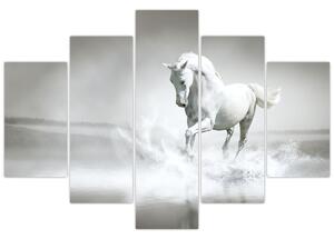 Kép - Fehér ló (150x105 cm)