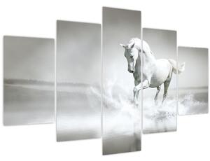 Kép - Fehér ló (150x105 cm)