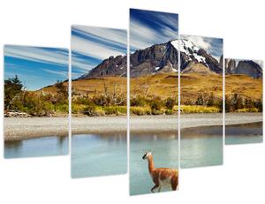 Kép - Torres del Paine Nemzeti Park (150x105 cm)