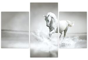 Kép - Fehér ló (90x60 cm)