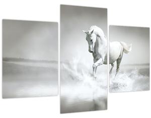 Kép - Fehér ló (90x60 cm)