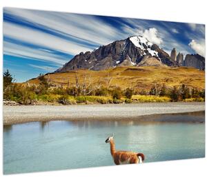 Kép - Torres del Paine Nemzeti Park (90x60 cm)