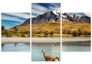 Kép - Torres del Paine Nemzeti Park (90x60 cm)