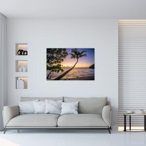 Kép a pálmafa a tengerparton (90x60 cm)