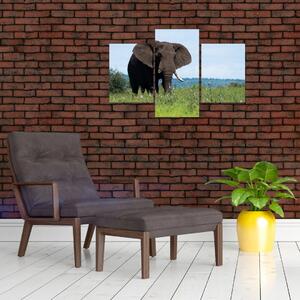 Egy elefánt képe (90x60 cm)