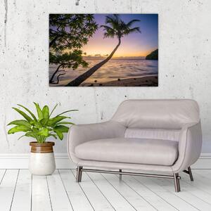 Kép a pálmafa a tengerparton (90x60 cm)