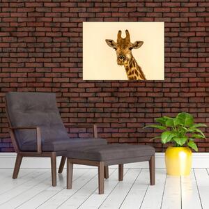 Egy zsiráf képe (70x50 cm)