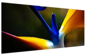 Kép - Egzotikus virág (120x50 cm)
