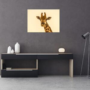 Egy zsiráf képe (70x50 cm)