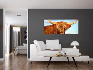 Kép - Skót tehén (120x50 cm)