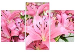 Kép - Rózsaszín liliomok (90x60 cm)