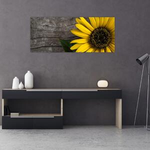 Kép - Napraforgó virága (120x50 cm)