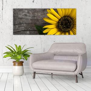 Kép - Napraforgó virága (120x50 cm)