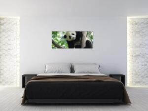 Kép - Panda a fán (120x50 cm)