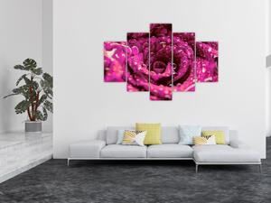 Rózsaszín rózsa virágzata képe (150x105 cm)