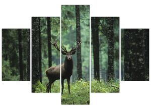 Kép - Szarvas egy mély erdőben (150x105 cm)