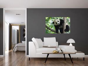 Kép - Panda a fán (90x60 cm)