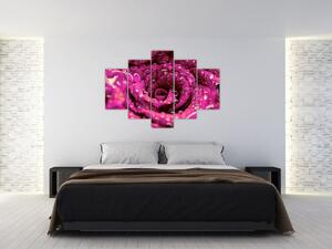 Rózsaszín rózsa virágzata képe (150x105 cm)
