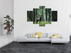 Kép - Szarvas egy mély erdőben (150x105 cm)