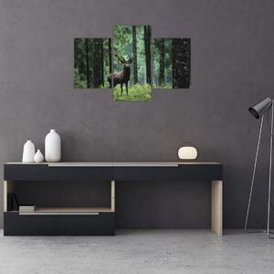 Kép - Szarvas egy mély erdőben (90x60 cm)