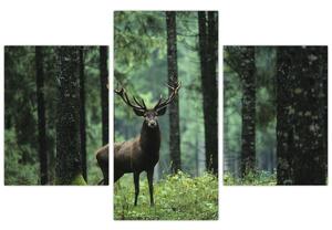 Kép - Szarvas egy mély erdőben (90x60 cm)