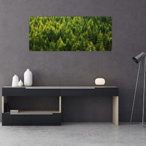 Kép - sűrű erdő (120x50 cm)