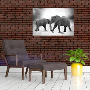 Elefántok képe (90x60 cm)