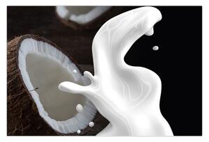 Kép - kókusz tej (90x60 cm)