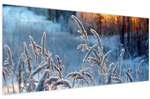 Kép - Téli rét (120x50 cm)