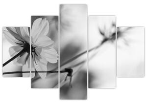 Kép - Fekete-fehér virágok (150x105 cm)