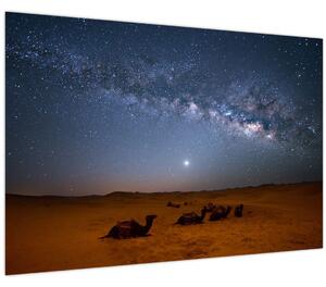 Kép - Éjszaka a sivatagban (90x60 cm)