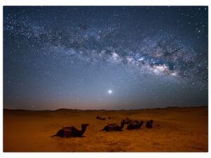 Kép - Éjszaka a sivatagban (70x50 cm)