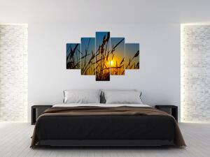Kép - naplemente a réten (150x105 cm)