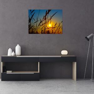 Kép - naplemente a réten (70x50 cm)