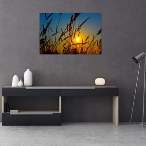 Kép - naplemente a réten (90x60 cm)