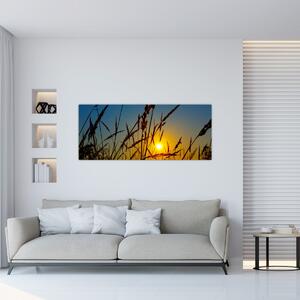 Kép - naplemente a réten (120x50 cm)