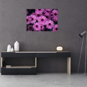 Rózsaszín virágok képe (70x50 cm)